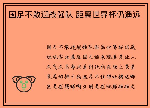 国足不敢迎战强队 距离世界杯仍遥远